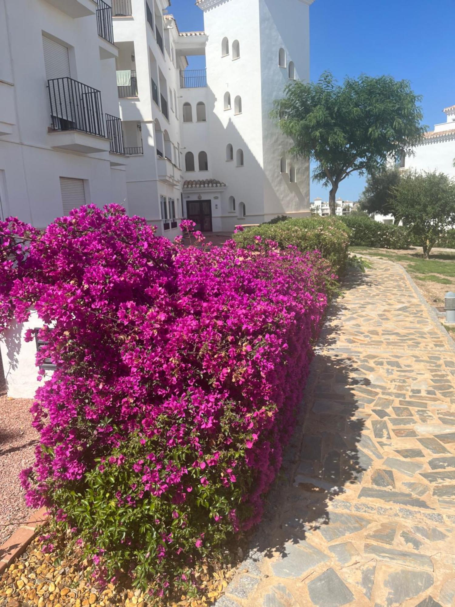 La Casa Rosita, Hacienda Riquelme Golf Resort Sucina Murcja Zewnętrze zdjęcie
